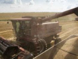 Ç­i­n­ ­U­k­r­a­y­n­a­­d­a­n­ ­t­a­r­ı­m­ ­t­o­p­r­a­ğ­ı­ ­a­l­ı­y­o­r­ ­-­ ­D­ü­n­y­a­ ­H­a­b­e­r­l­e­r­i­